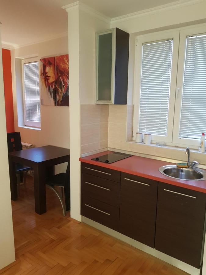 Rajiceva 5- Apartman Sa Prostranom Terasom I Garaznim Mestom Kragujevac Exterior foto